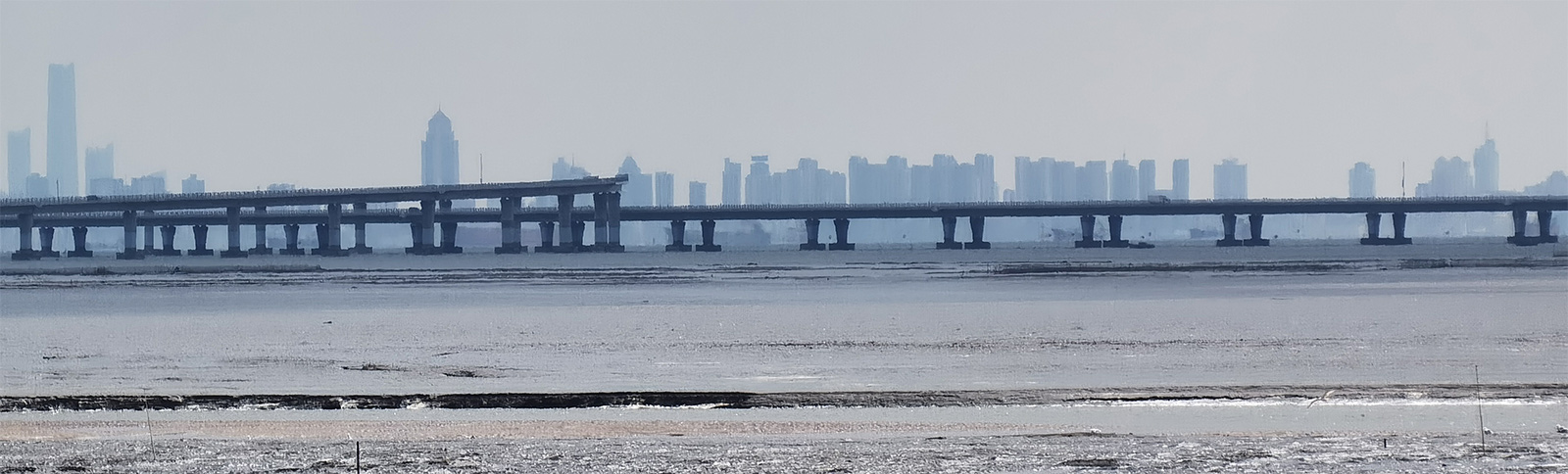 青岛网站建设